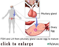 Acupuncture and High FSH and Egg Quality